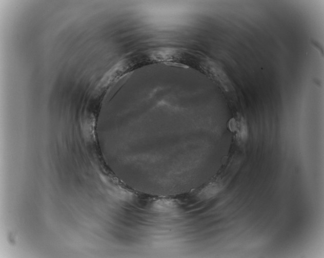 X0000102240332200807251305