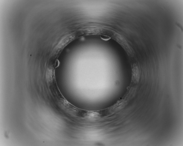 X0000102240333200807251305