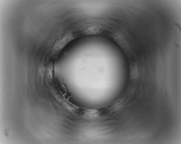 X0000102240334200807251305