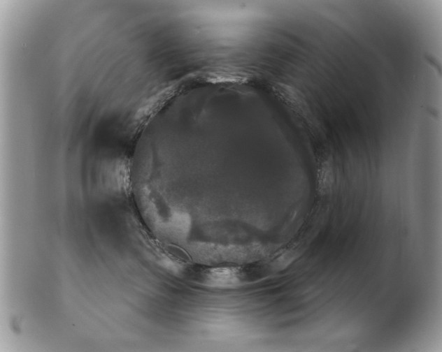 X0000102240335200807251305