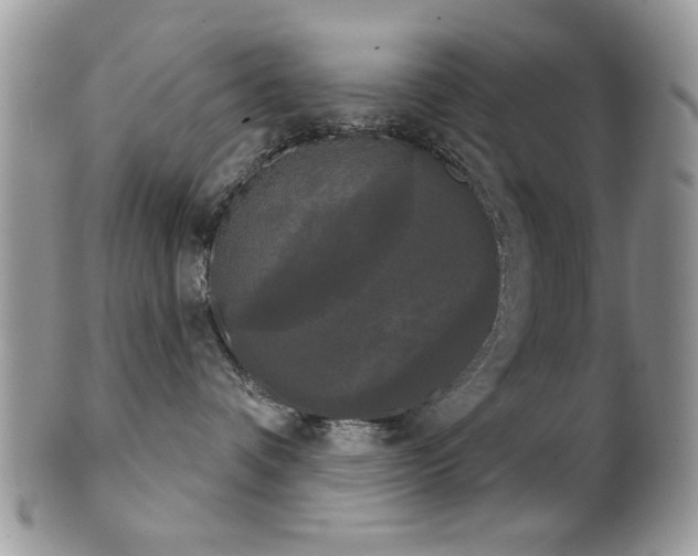 X0000102240336200807251305