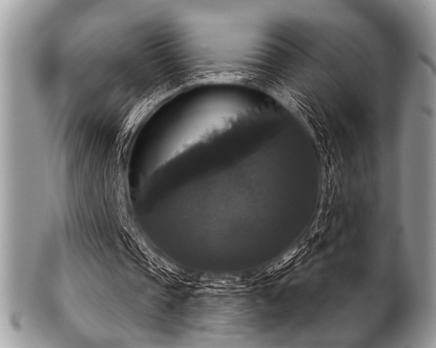 X0000102240337200807251304