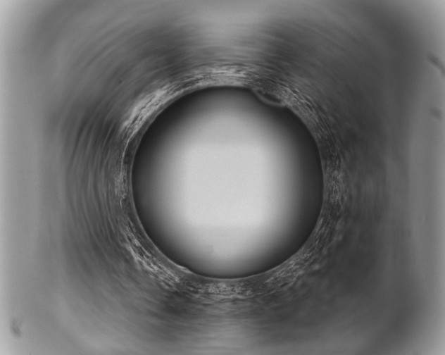 X0000102240338200807251304