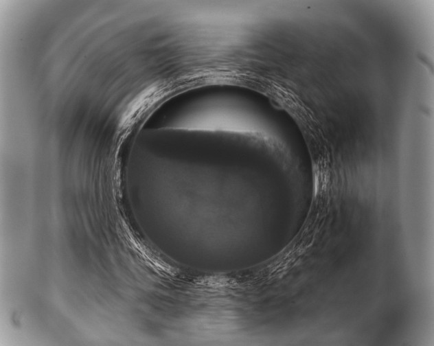 X0000102240339200807251304