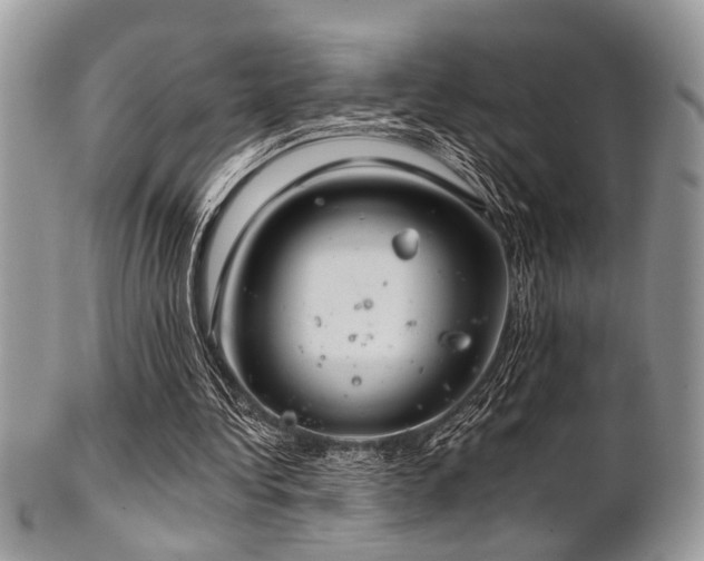 X0000102240340200807251304