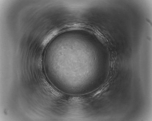 X0000102240341200807251305