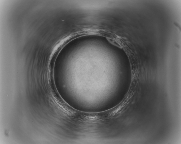 X0000102240342200807251305