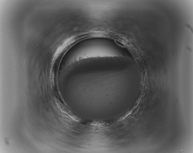 X0000102240343200807251305