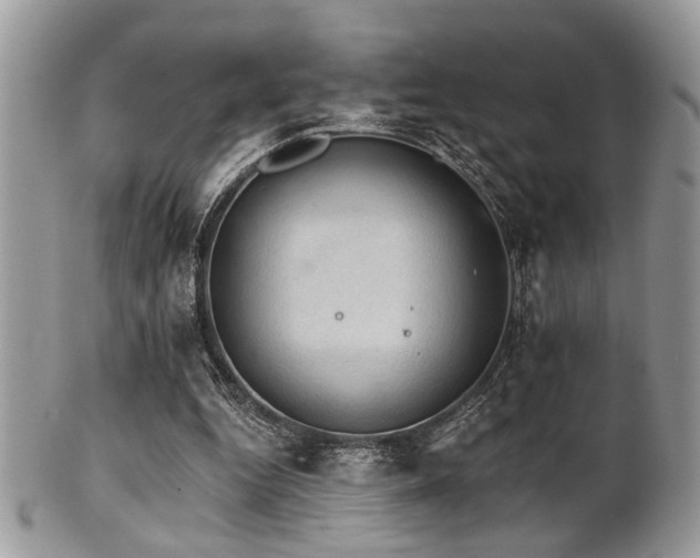 X0000102240344200807251305