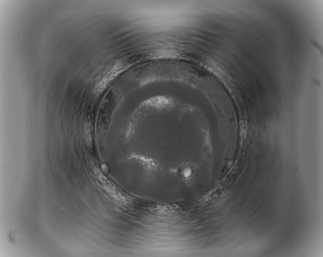 X0000102240345200807251305