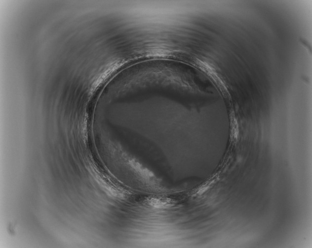 X0000102240346200807251305