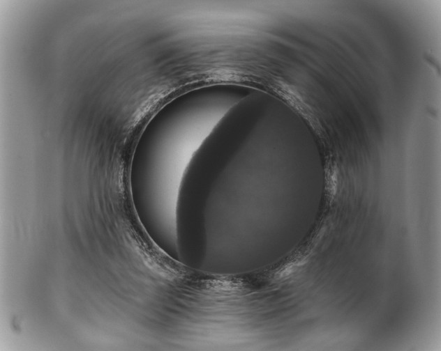 X0000102240347200807251305