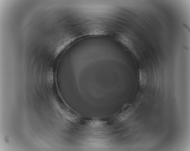 X0000102240348200807251305