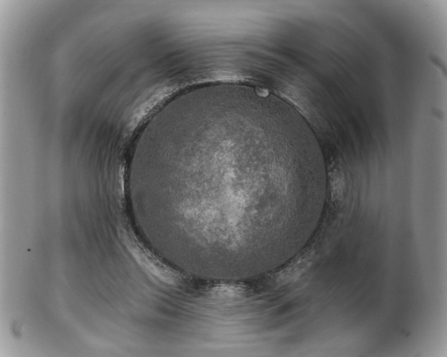 X0000102240350200807251305