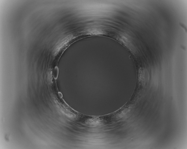 X0000102240351200807251305