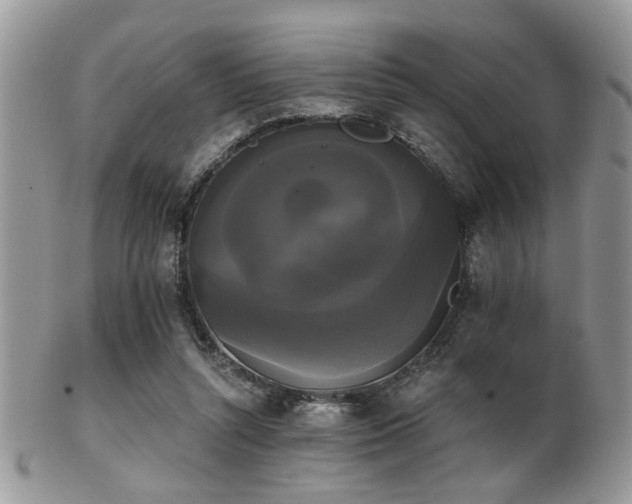 X0000102240352200807251305