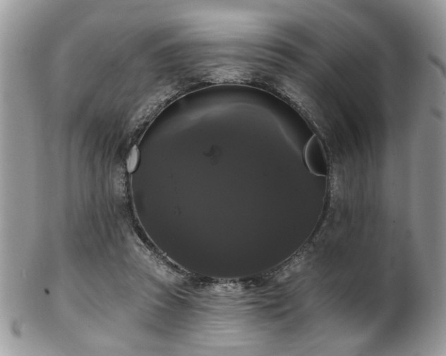 X0000102240353200807251305