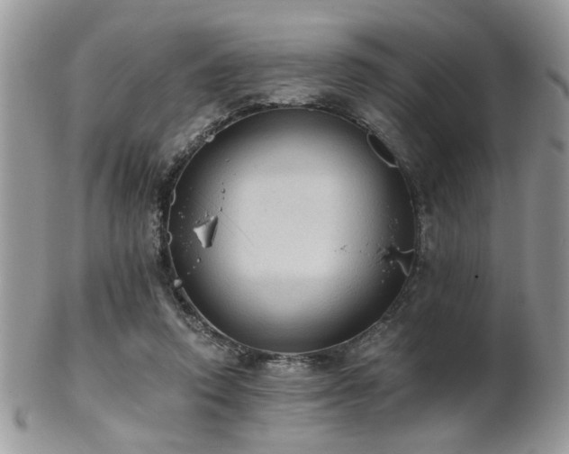 X0000102240354200807251305