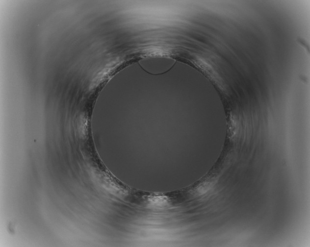 X0000102240355200807251305