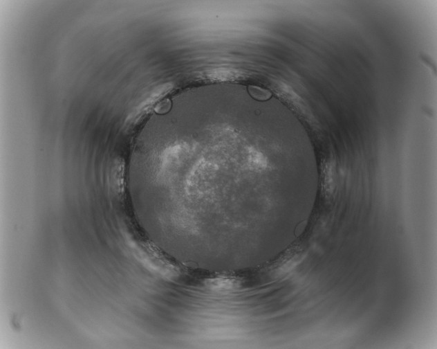 X0000102240356200807251305