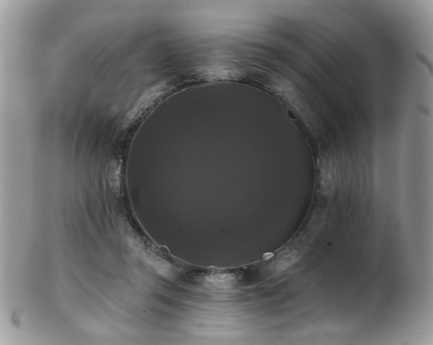 X0000102240357200807251305