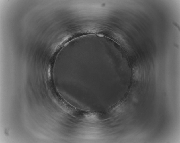 X0000102240358200807251305