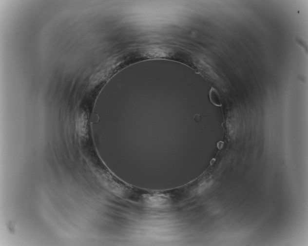 X0000102240359200807251305