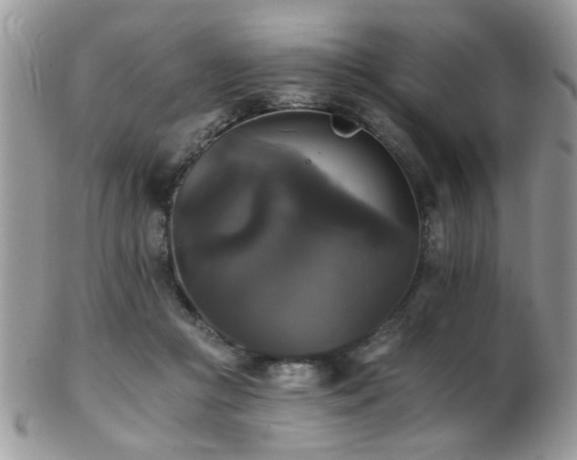 X0000102240361200807251305