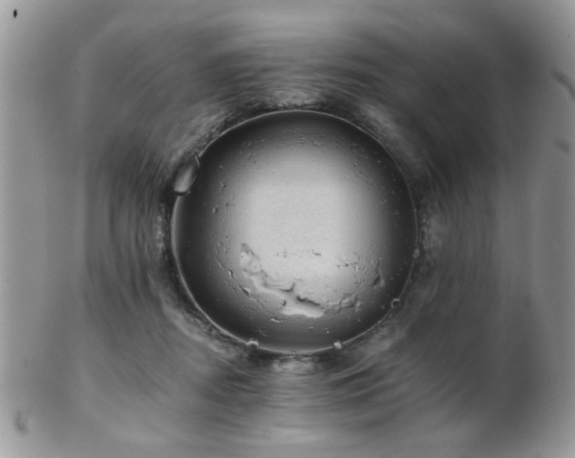 X0000102240362200807251305