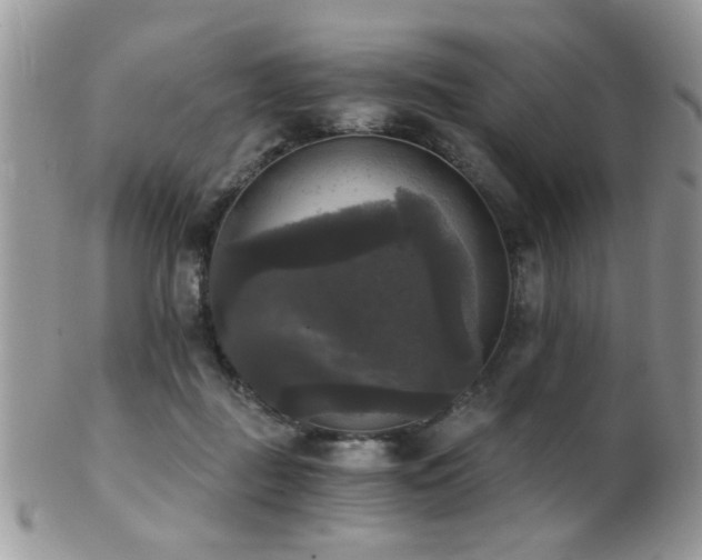 X0000102240363200807251305