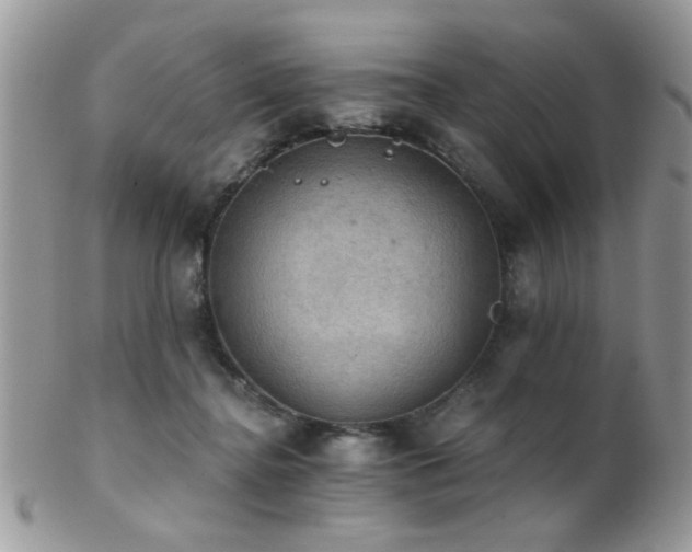 X0000102240364200807251305