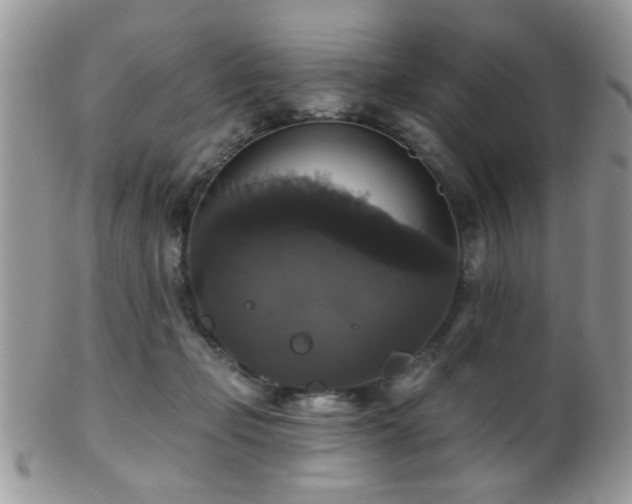 X0000102240365200807251305