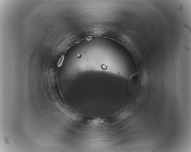 X0000102240366200807251305