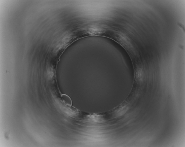 X0000102240367200807251305