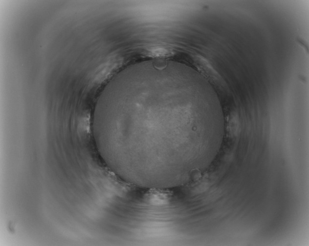 X0000102240368200807251305