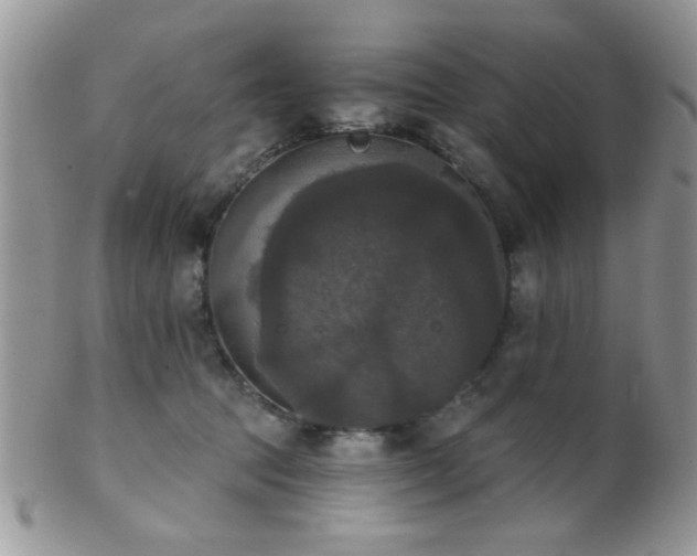 X0000102240369200807251305