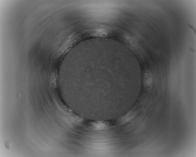 X0000102240370200807251305