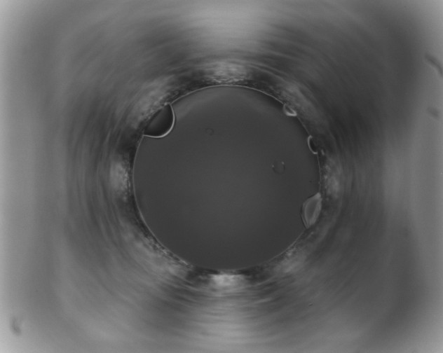 X0000102240371200807251305