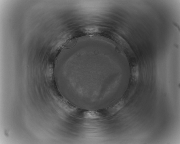 X0000102240372200807251305