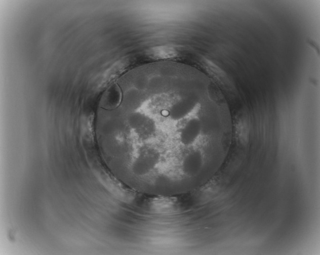 X0000102240373200807251305