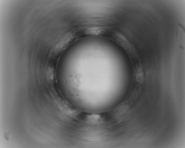 X0000102240374200807251305