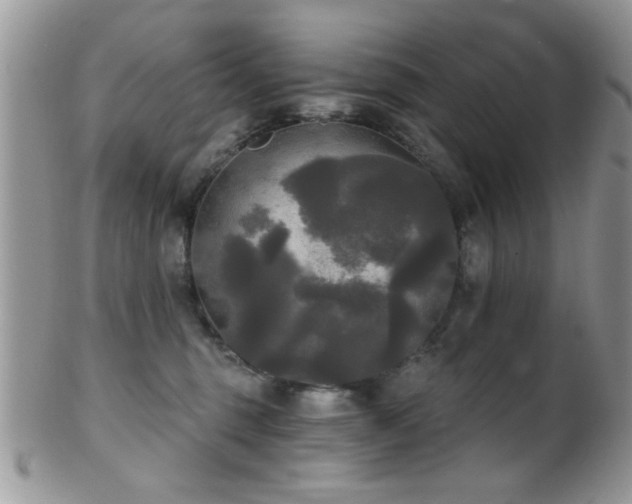 X0000102240375200807251305