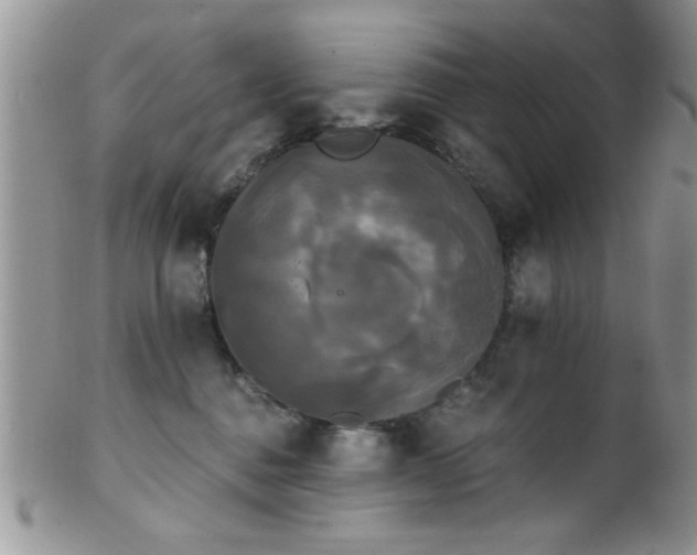 X0000102240376200807251305