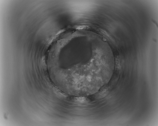 X0000102240377200807251305