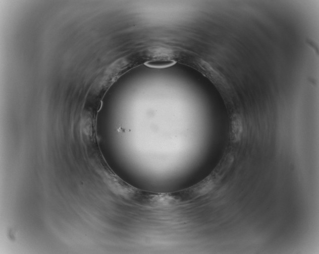 X0000102240379200807251305