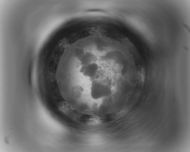 X0000102240381200807251305