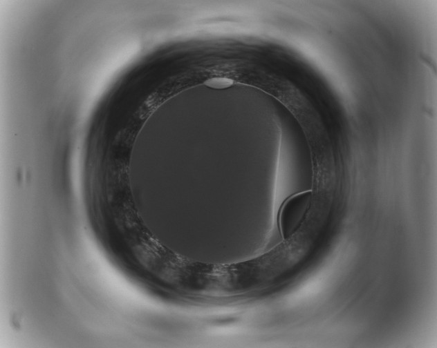 X0000102240383200807251305