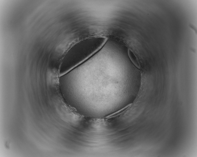 X0000102240384200807251305