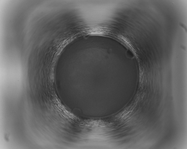 X0000102240385200807251304