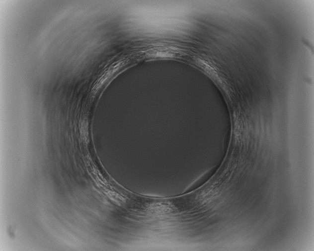 X0000102240386200807251304